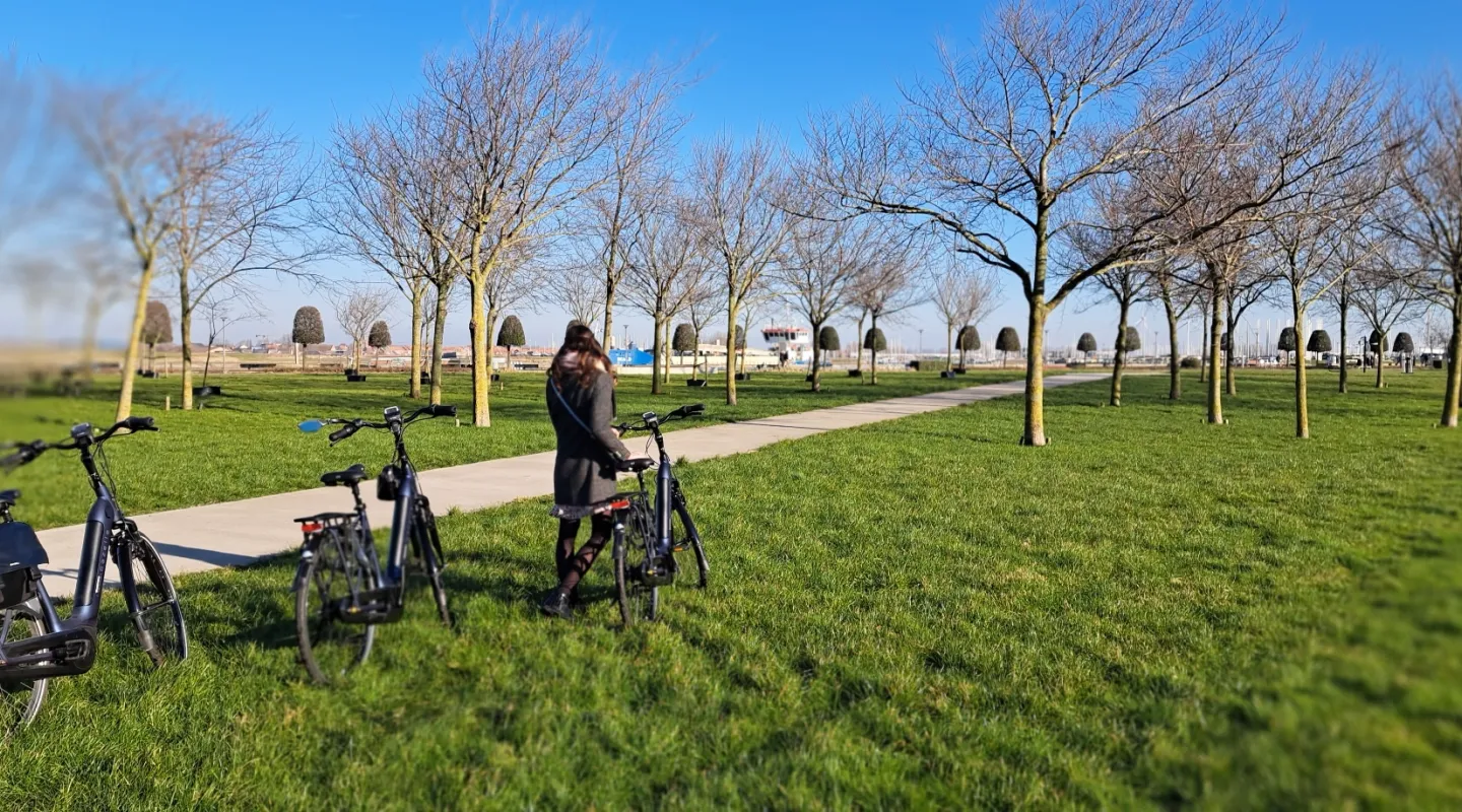 The Newport Lodge omgeving